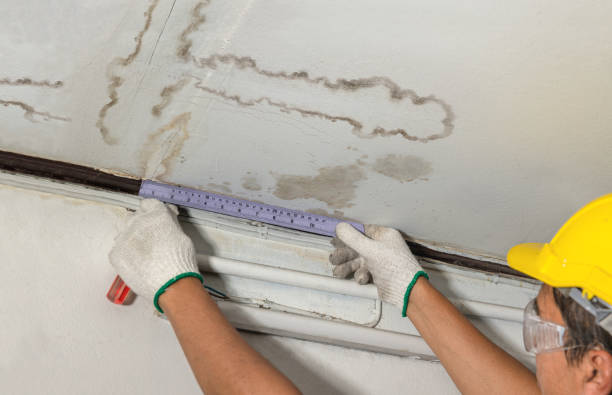 Reliable Basement Water Removal contractor in Ovid, MI by Water Damage Irwin